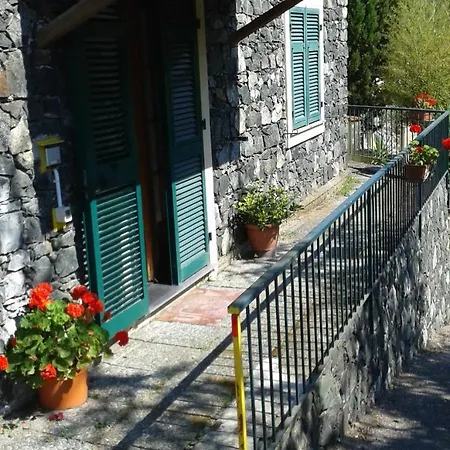 L'ulivo 2