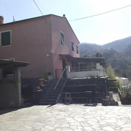 L'ulivo 2 * Levanto