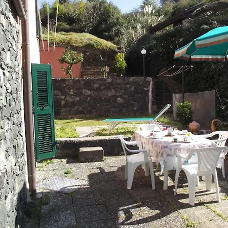 L'ulivo 2 *